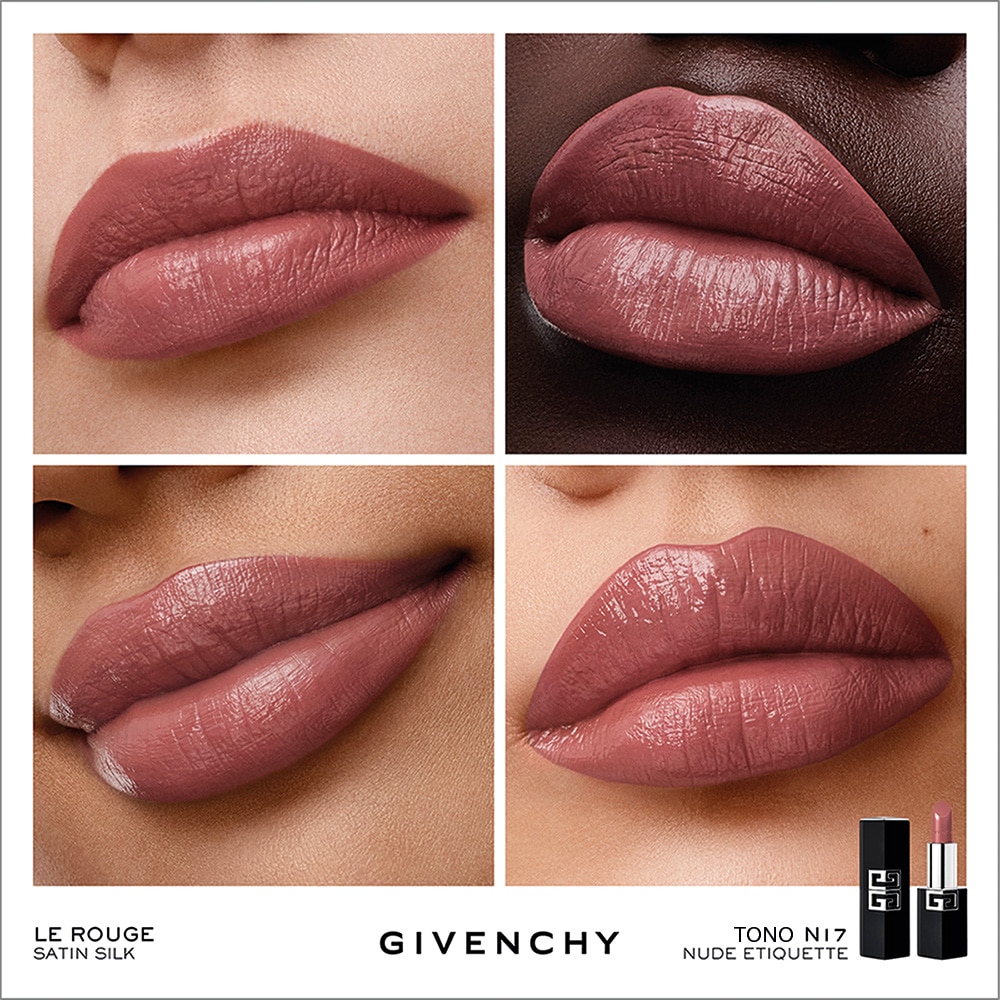 LE ROUGE SATIN SILK (LABIAL DE ALTA DEFINICI&Oacute;N)